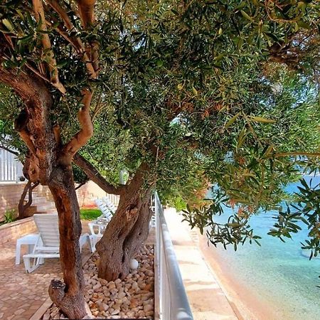 Apartments Santic Podaca Εξωτερικό φωτογραφία