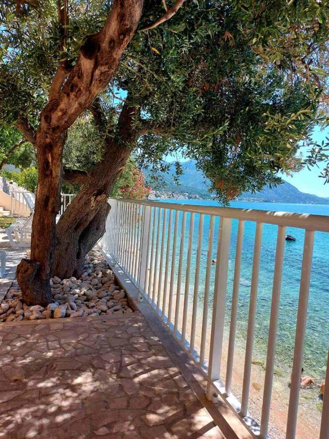 Apartments Santic Podaca Εξωτερικό φωτογραφία